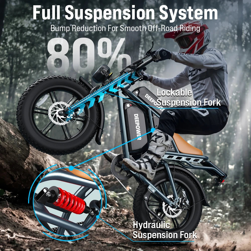 DEEPOWER S7 20" Electric Bike for Comuting, 200km Range, 250W, 48V 20Ah Battery, Speed 25 km/h, 7 Gears, Disc Brakes E-bike, Electric bicycles for food delivery