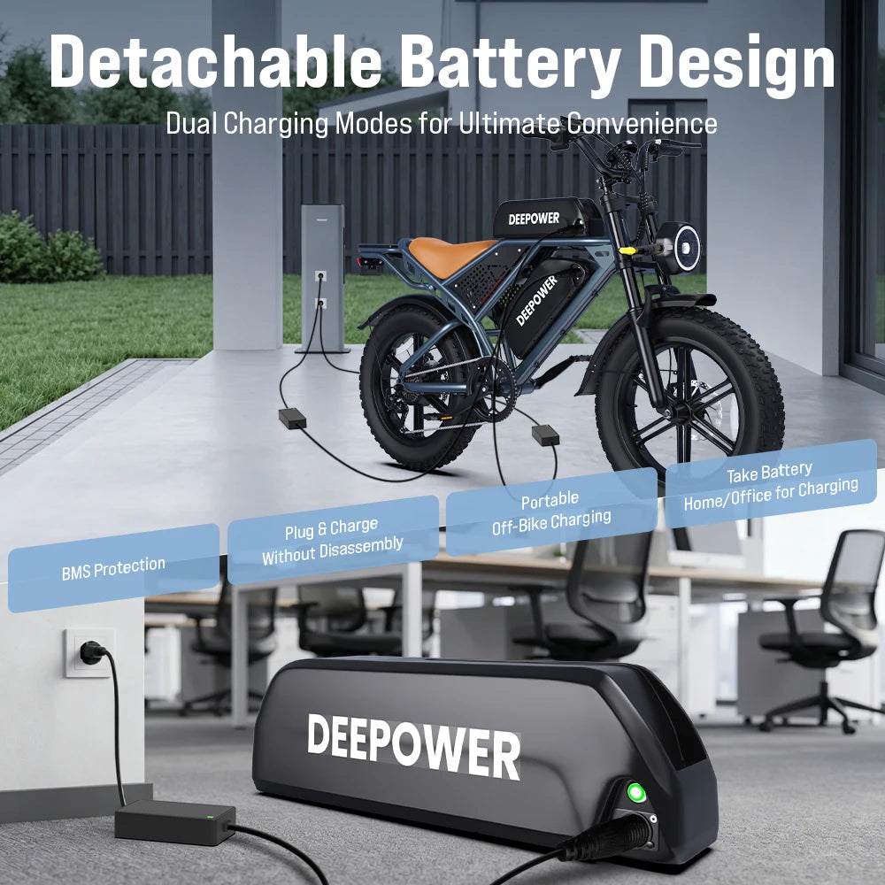 DEEPOWER S7 20" Electric Bike for Comuting, 200km Range, 250W, 48V 20Ah Battery, Speed 25 km/h, 7 Gears, Disc Brakes E-bike, Electric bicycles for food delivery