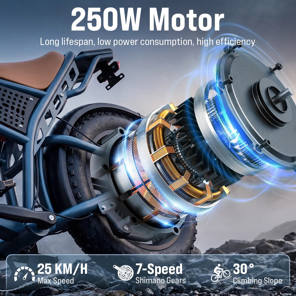 DEEPOWER S7 20" Electric Bike for Comuting, 200km Range, 250W, 48V 20Ah Battery, Speed 25 km/h, 7 Gears, Disc Brakes E-bike, Electric bicycles for food delivery